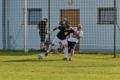 DSC_3004-1