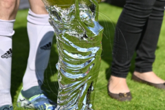 DSC_3040