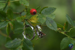 DSC_1612_RYZEN5_7600_led-06-181604-2026_CaseConflict