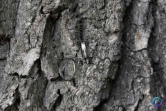 DSC_1619_RYZEN5_7600_led-06-181606-2026_CaseConflict