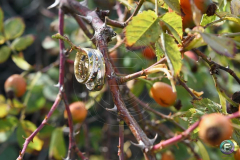 DSC_9325_RYZEN5_7600_led-06-182056-2026_CaseConflict